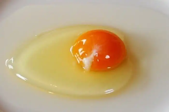 Продукты, которые вредны для вашей кошки