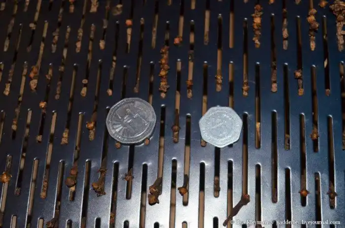 Как выращивают и обрабатывают гвоздику на Мадагаскаре