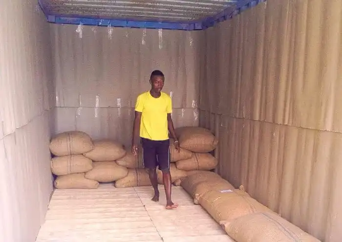 Как выращивают и обрабатывают гвоздику на Мадагаскаре