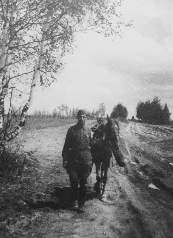 Интересные снимки