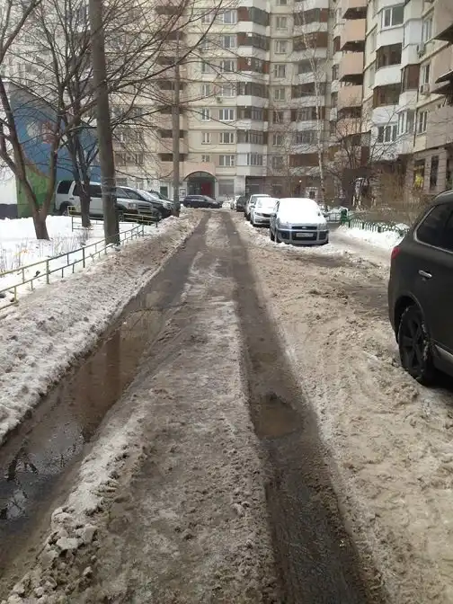 Главу района Москвы уволили за фальсификацию фотографий