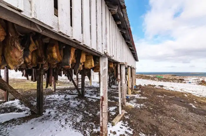 Что исландцу хорошо, то русскому не понять