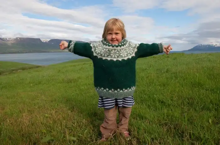 Что исландцу хорошо, то русскому не понять