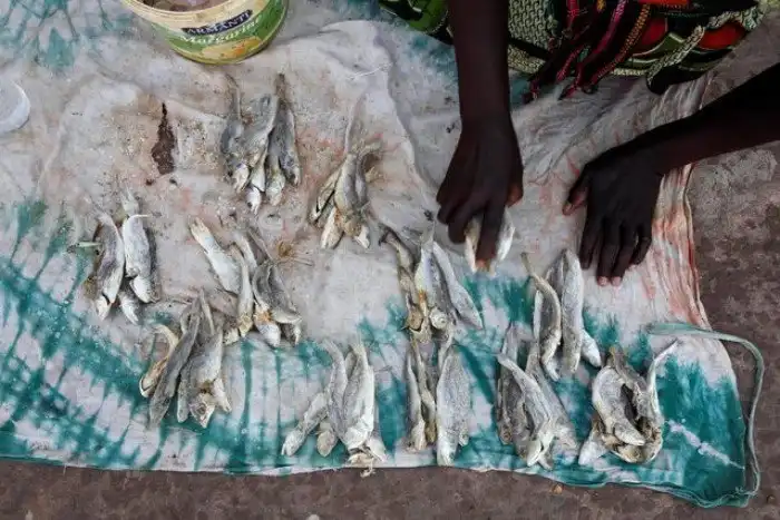 Рынки в разных уголках мира