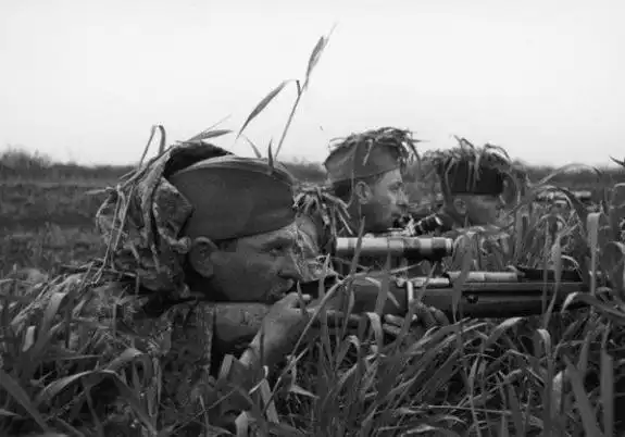 БИЛ ФРИЦЕВ ИЗ «ТРЕХЛИНЕЙКИ» С 1000 МЕТРОВ: ИСТОРИЯ СОВЕТСКОГО СНАЙПЕРА.