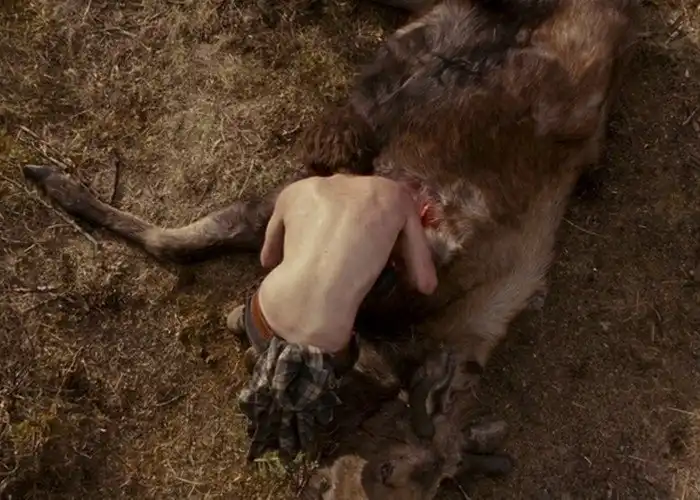 10 ярких фильмов о путешествиях, которые помогут разобраться в себе