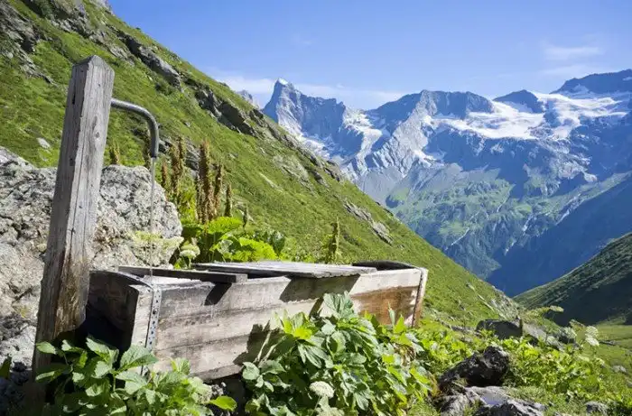 Что австрийцу хорошо, то русскому не понять