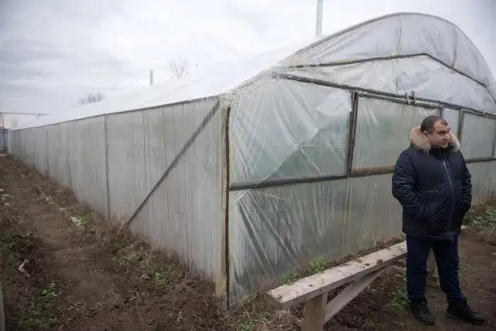 Как в Кабардино-Балкарии выращивают огурцы и помидоры