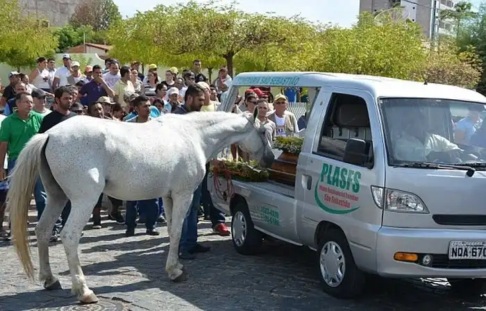 Душераздерающие фото: лошадь прощается со своим хозяином