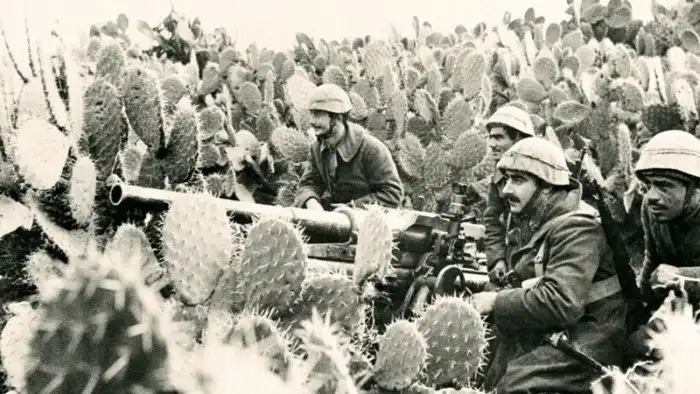 9 очень неожиданных стран, которые участвовали во Второй мировой войне