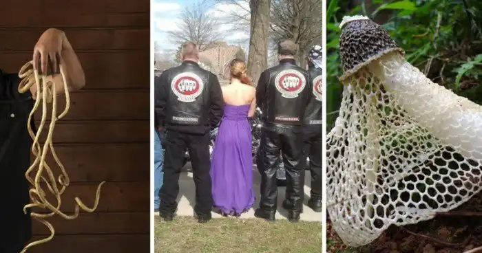 10 занятных фактов об этом безумном мире