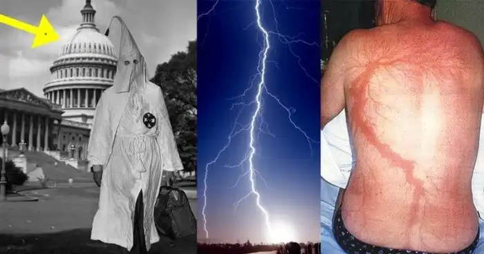 15 случаев, которые звучат как чушь, но являются чистой правдой