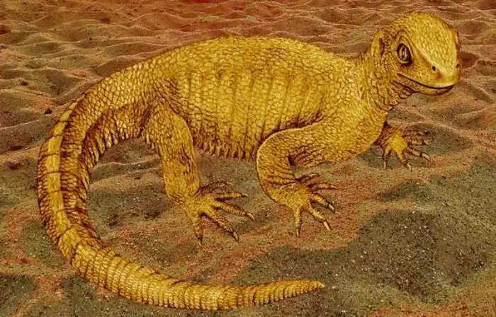 Как черепахи обзавелись панцирем и стали теми, кто они есть