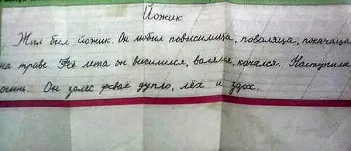 17 гениальных выводов в школьных сочинениях