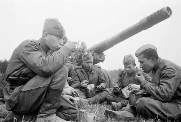 Картошка по-фронтовому.