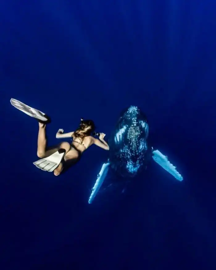 Студентка, которая путешествует по миру, чтобы сфотографироваться с невероятными морскими существами