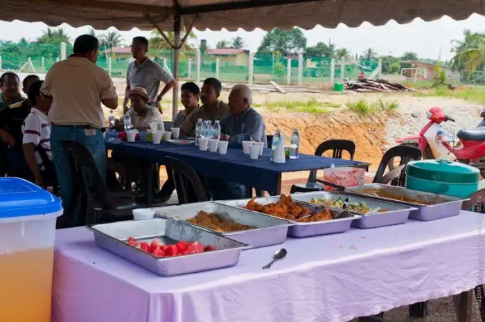 Как выращивают ласточкины гнезда за 3000$