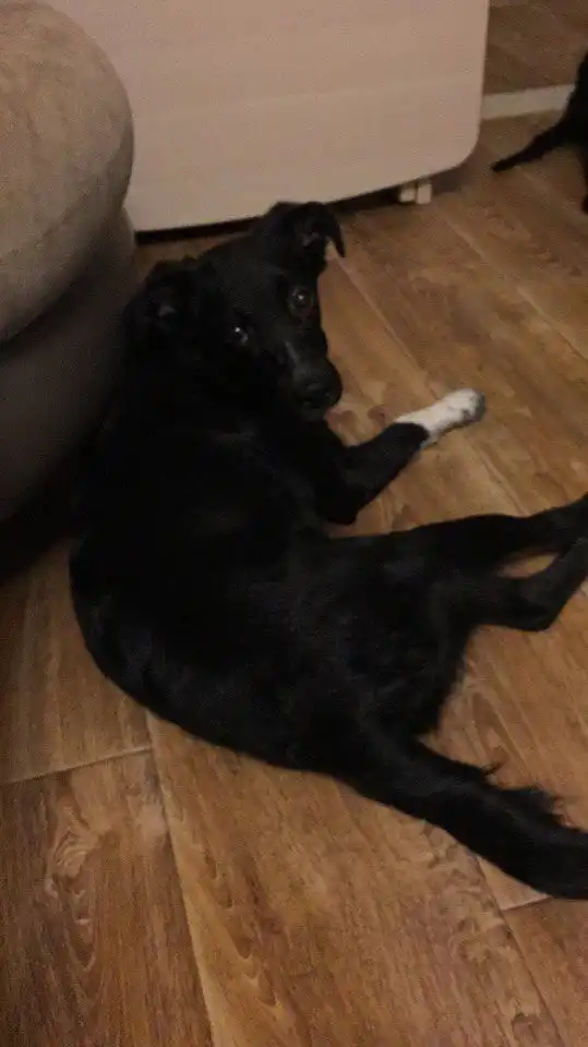 Кому кусочек счастья??? :)