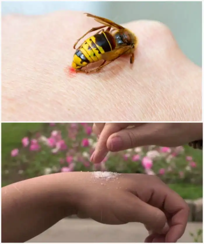 Польза сахара в быту