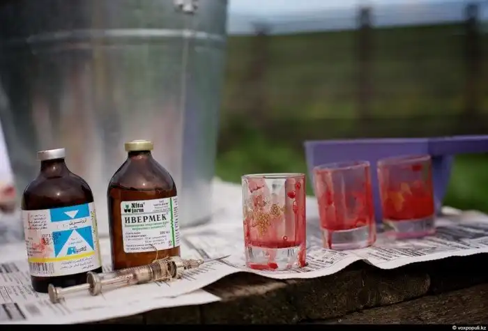 Как добывают пантокрин из оленьих рогов