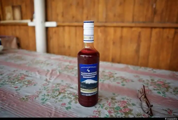 Как добывают пантокрин из оленьих рогов