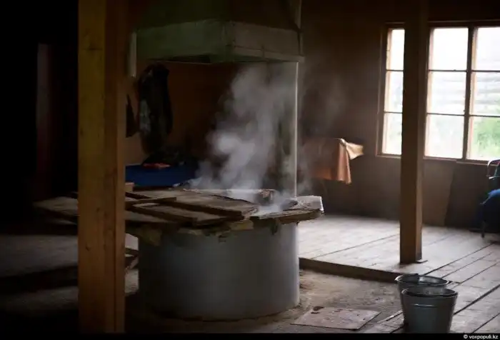 Как добывают пантокрин из оленьих рогов