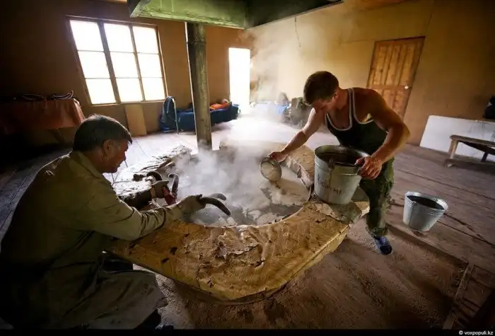 Как добывают пантокрин из оленьих рогов