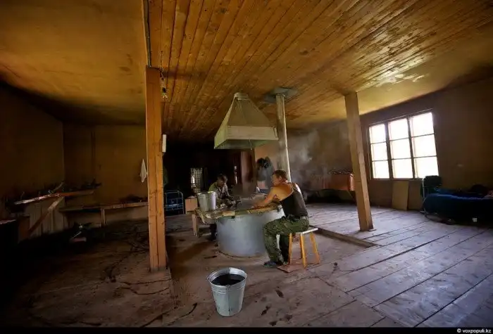 Как добывают пантокрин из оленьих рогов