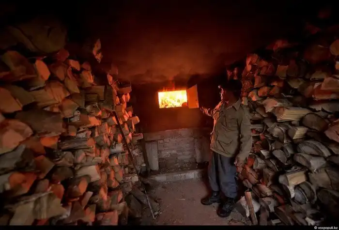 Как добывают пантокрин из оленьих рогов