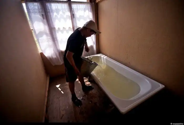 Как добывают пантокрин из оленьих рогов