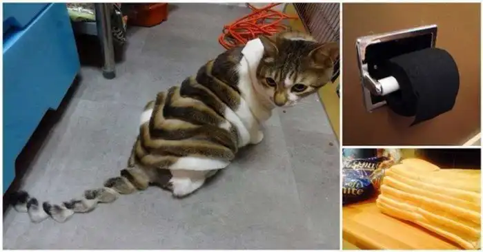 16 фотографий, которые заставят вас почувствовать себя неловко