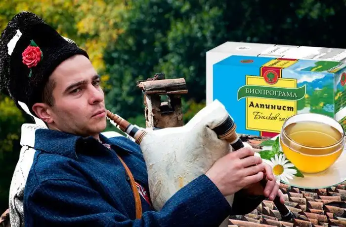 Что болгарину хорошо, то русскому не понять