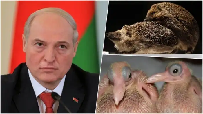 Этот замечательный момент, когда одной загадкой стало меньше