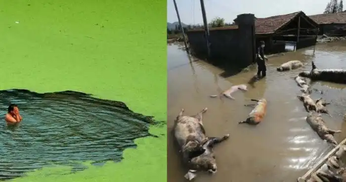 Шокирующие фотосвидетельства: самые грязные реки мира!