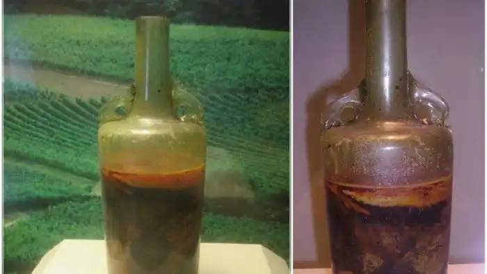 Самая старая бутылка вина в мире