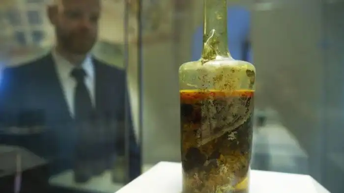 Самая старая бутылка вина в мире