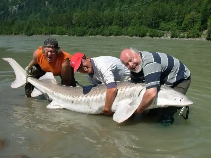 Любопытные факты о Каспийском море