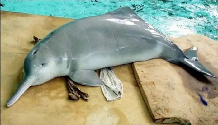 Животные прошлого, которых могут вернуть к жизни