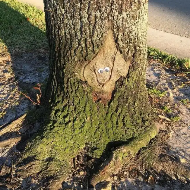 Веселые эксперименты с глазами Googly Eyes