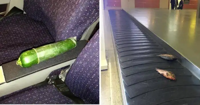 Судить о степени вменяемости человека можно по его багажу