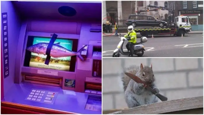 Что здесь, простите, происходит? Смешные фотографии из сети