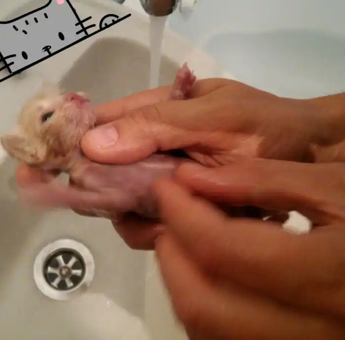 Он лежал возле гаражей в 2-х метрах от мусорного бака