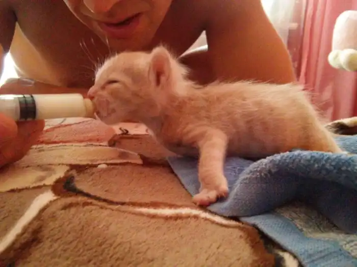 Он лежал возле гаражей в 2-х метрах от мусорного бака