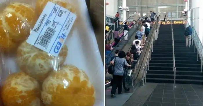 Это проявление лени или всё же здравый смысл?