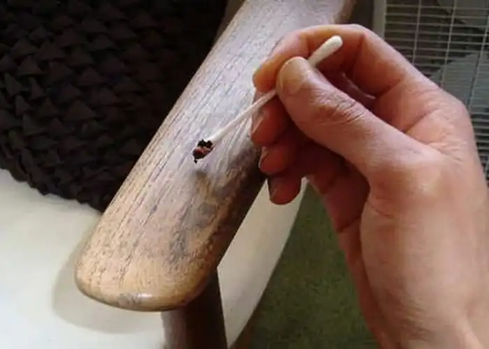 Кофейная гуща в быту