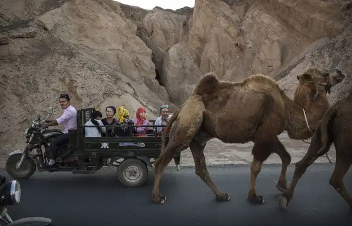Великий шелковый путь в объективе
