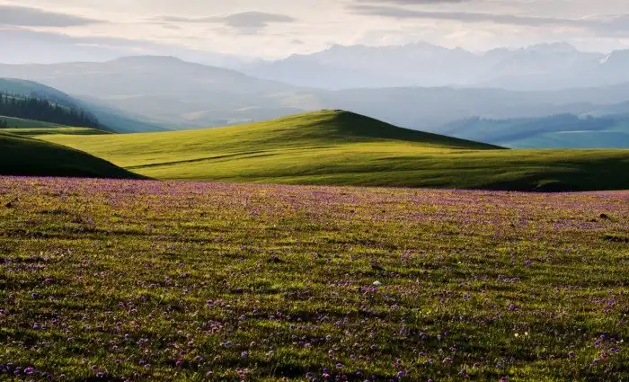 Великий шелковый путь в объективе