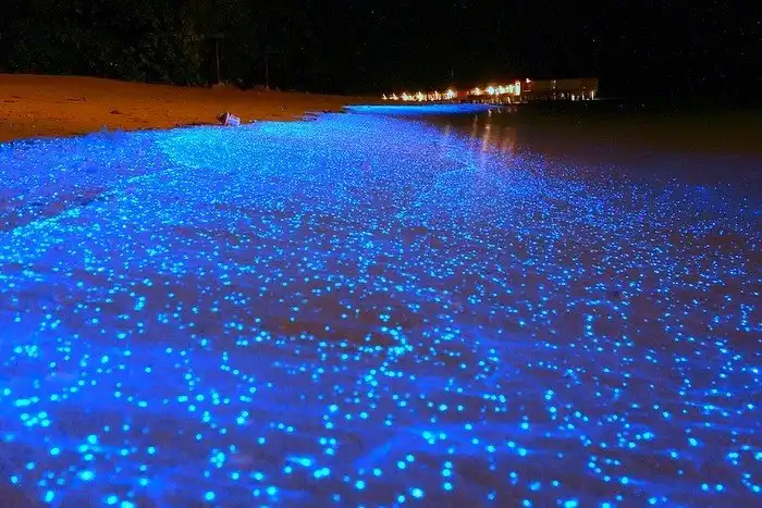 Удивительные и невероятные факты об океане