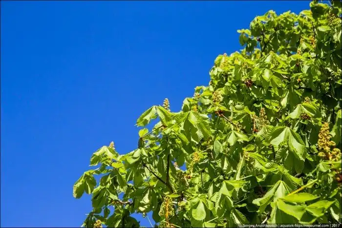 Перемены Севастополя