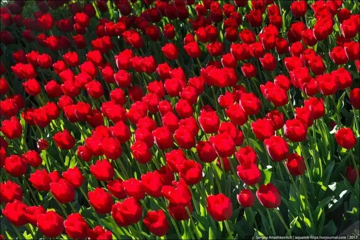 Перемены Севастополя